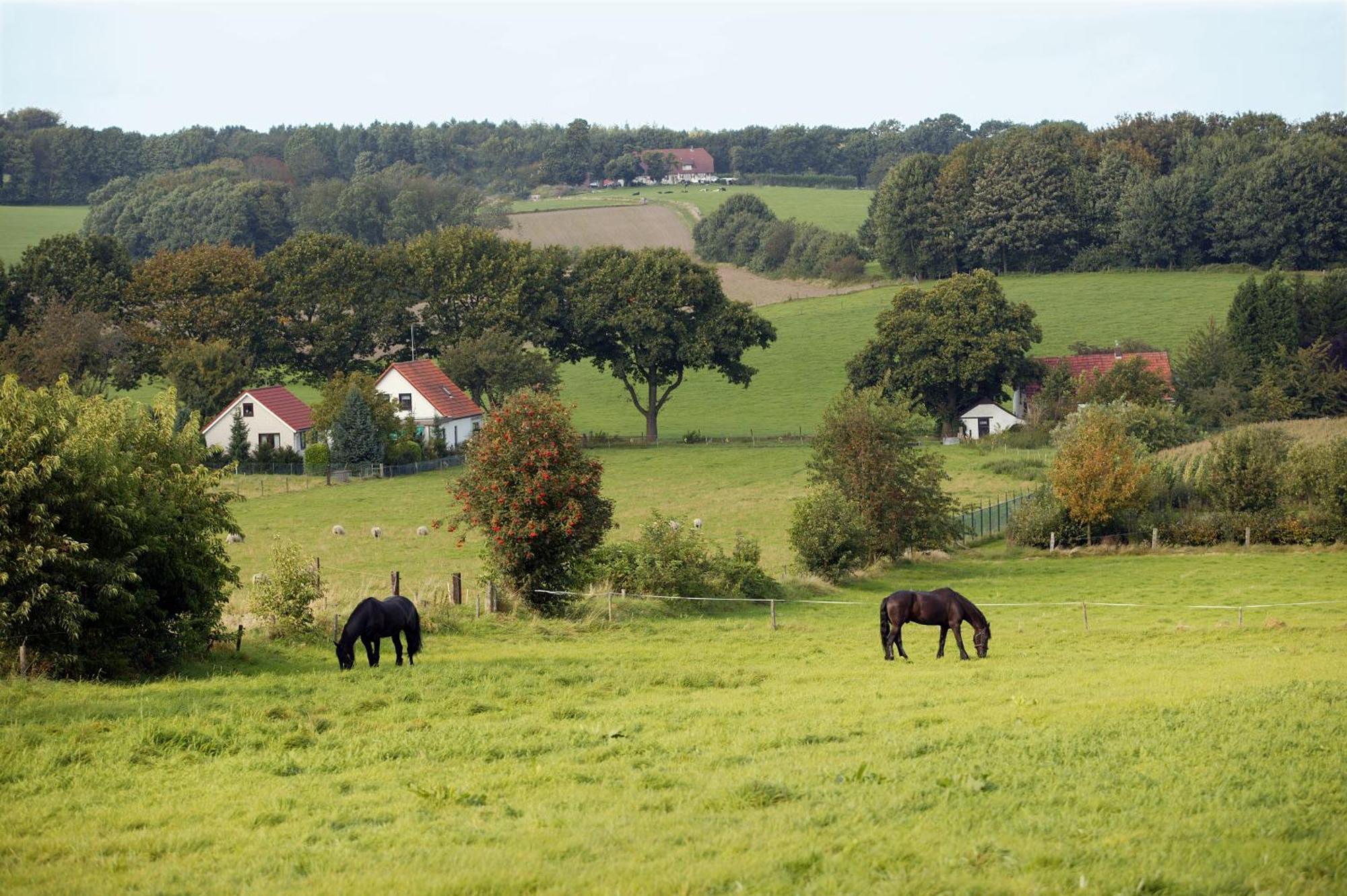 Hotel & Appartementen - De Zeven Heuvelen Groesbeek Zewnętrze zdjęcie